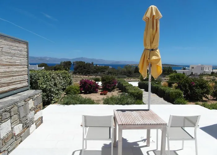 Blue Amaryllis Σάντα Μαρία