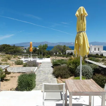 Blue Amaryllis * Santa Maria (Paros)