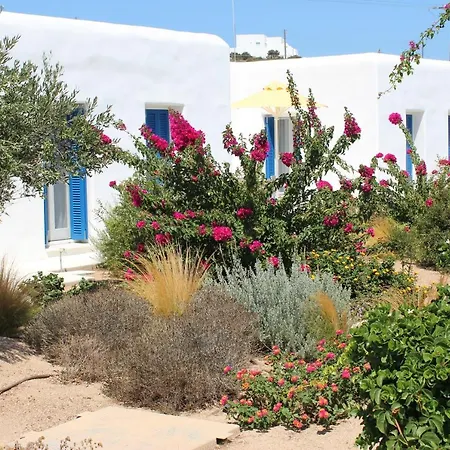 Hotel Blue Amaryllis