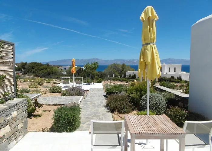 Blue Amaryllis * سانتا ماريا