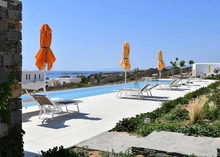 Blue Amaryllis سانتا ماريا